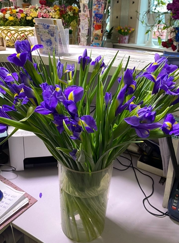 51 ирис от интернет-магазина цветов в 