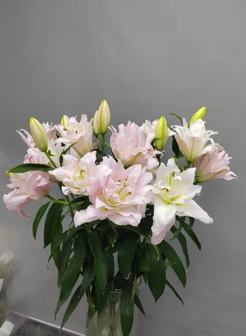 Люба от интернет-магазина цветов в 