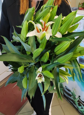 Утренний снег от интернет-магазина цветов в 