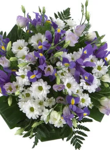 Сиа от интернет-магазина цветов в 