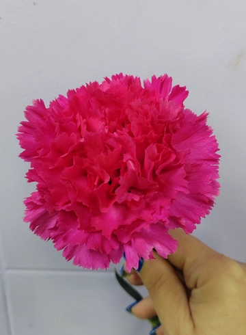 Гвоздика розовая от интернет-магазина цветов в 