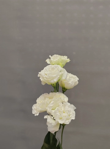 Эустома белая от интернет-магазина цветов в 