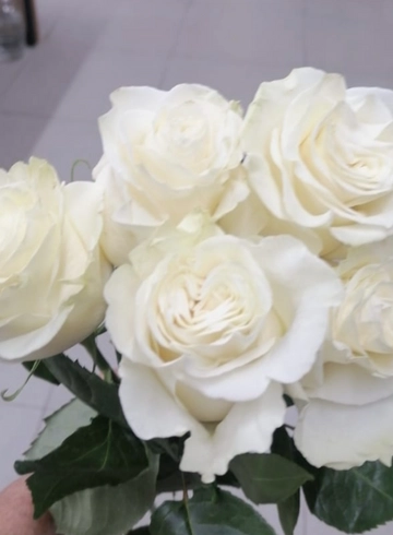 Нежное утро от интернет-магазина цветов в 